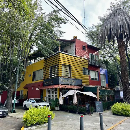 Collection O Casa Anzures Thematic, Mexico City-2